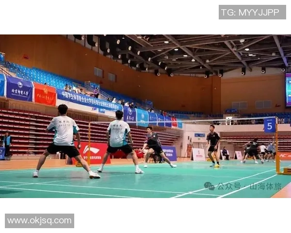 北京羽毛球队比赛经验分享与技巧探讨助力羽毛球爱好者提升竞技水平